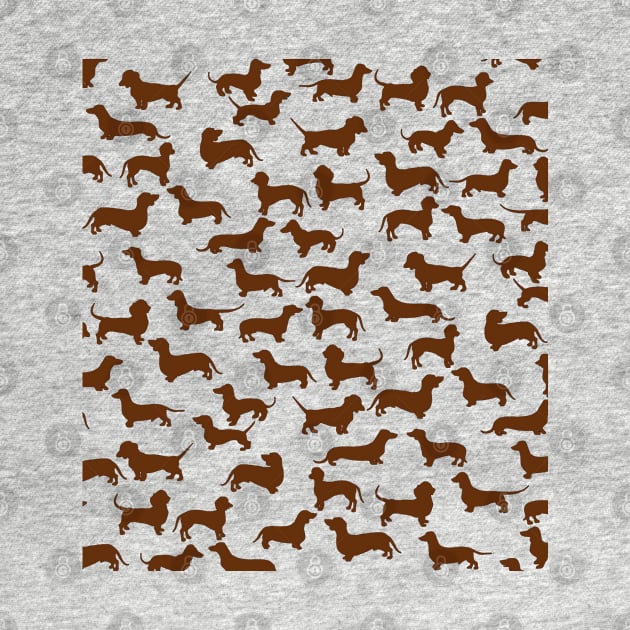 Dachshunds a many by Zodiart